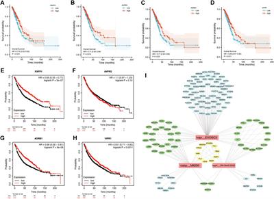 Identification of Hub Genes of Lung Adenocarcinoma Based on Weighted Gene Co-Expression Network in Chinese Population